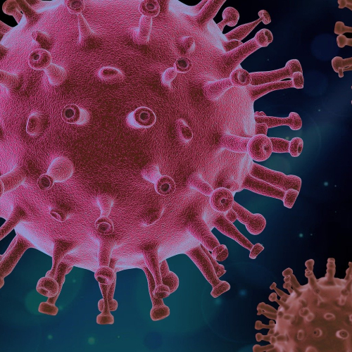 virus-4937553_1920.jpg