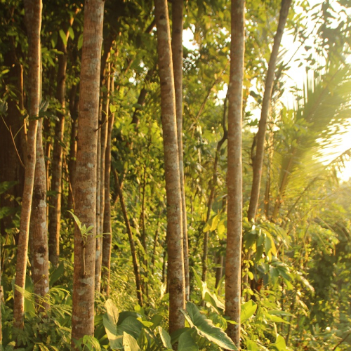 beautiful-landscape.jpg