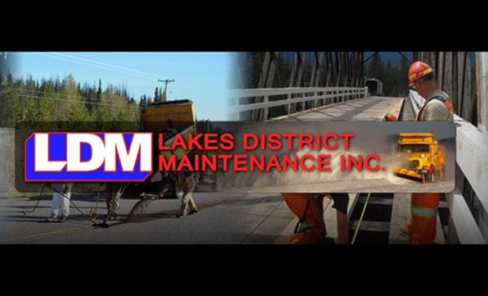 LDM logo in picture.jpg
