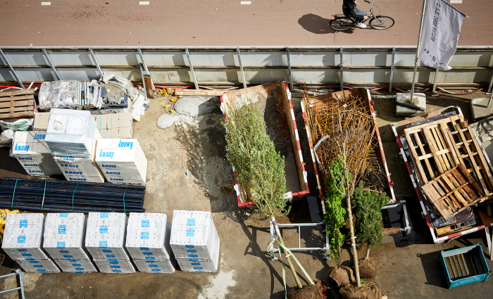 De eerste boom op Wonderwoods, 24 april 2023 - ©Milan Hofmans 2.jpg