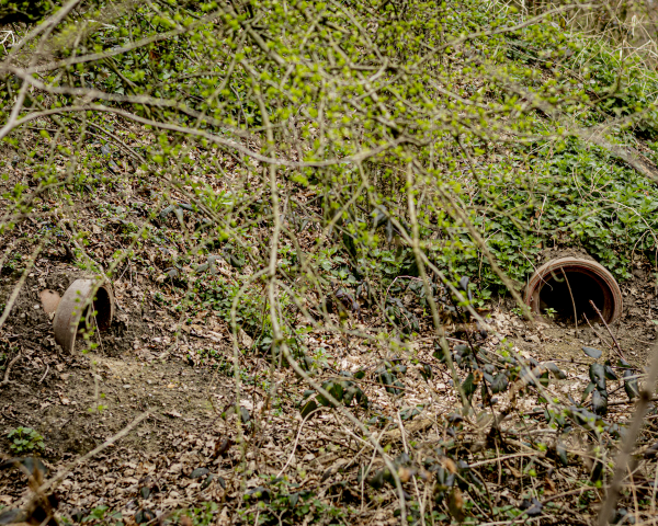 Dassenburcht VolkerWessels