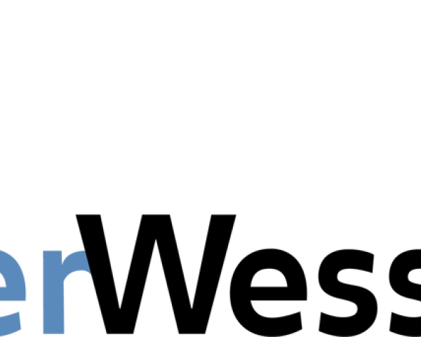 Logo_VW_Pms-pos.jpg
