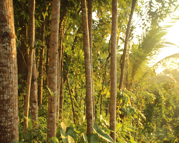beautiful-landscape.jpg