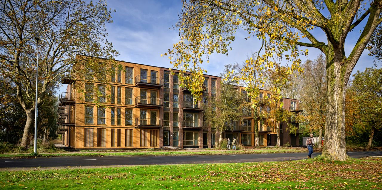 houten gebouw modulair