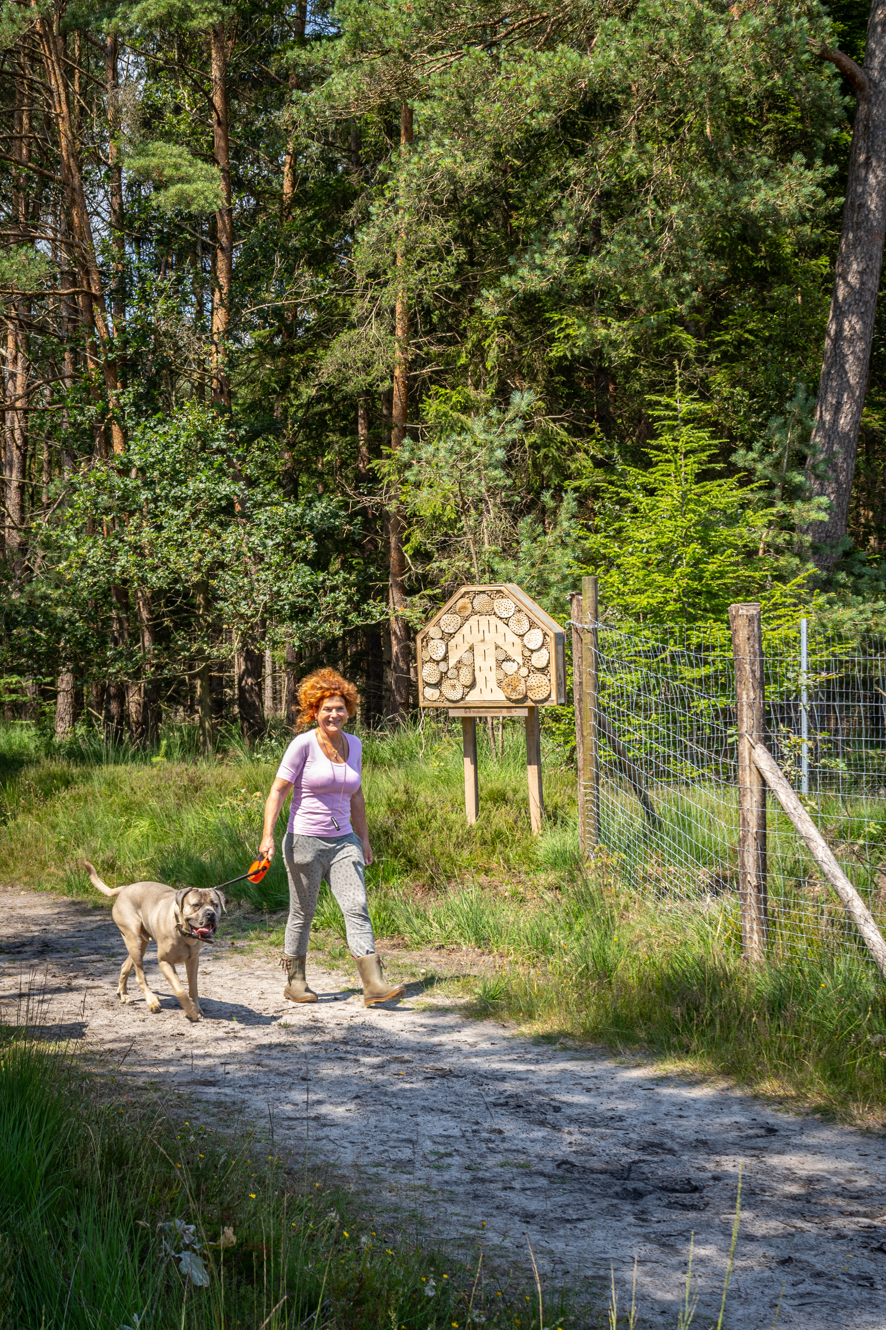 Bossen VolkerWessels