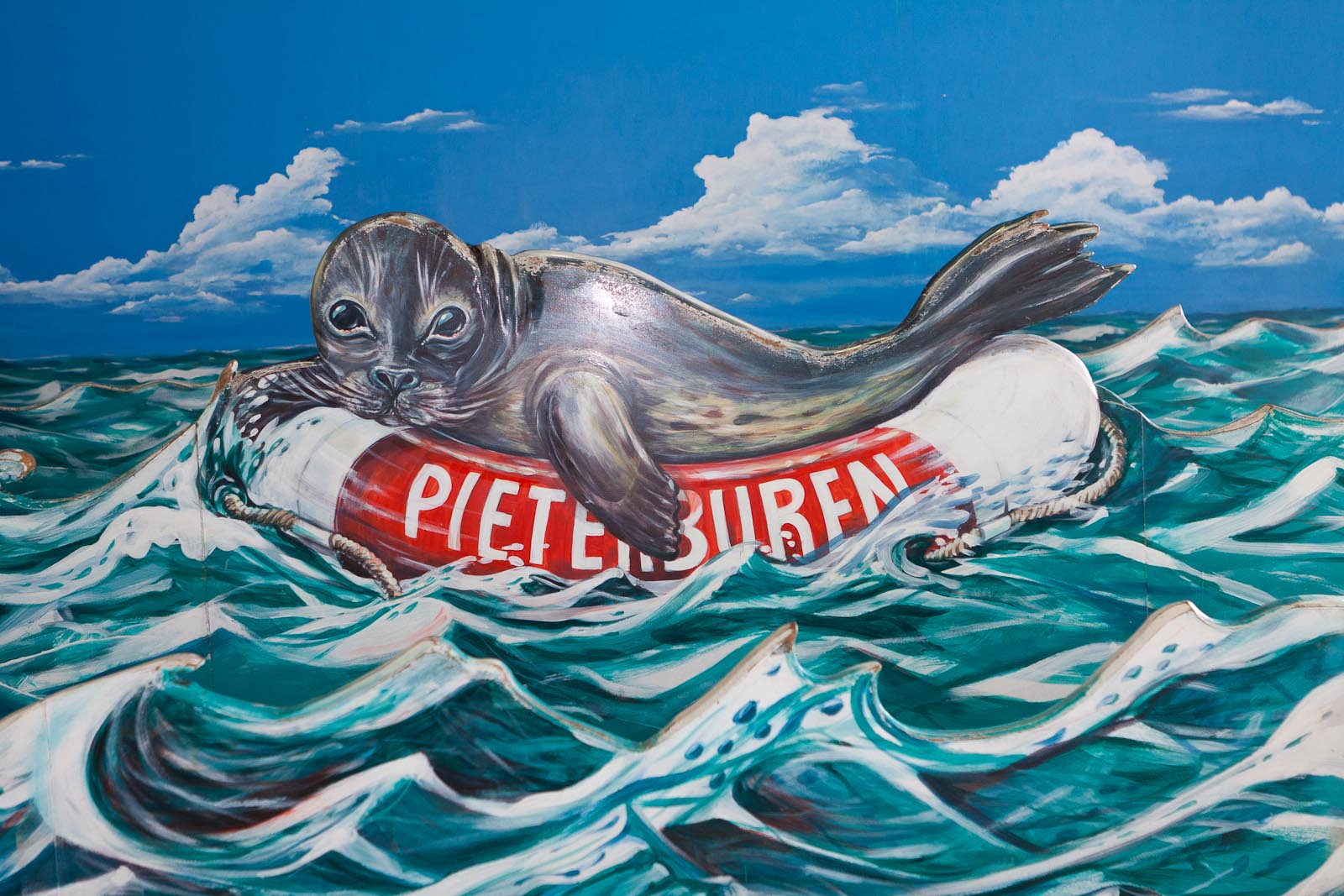 Zeehonden5.jpg
