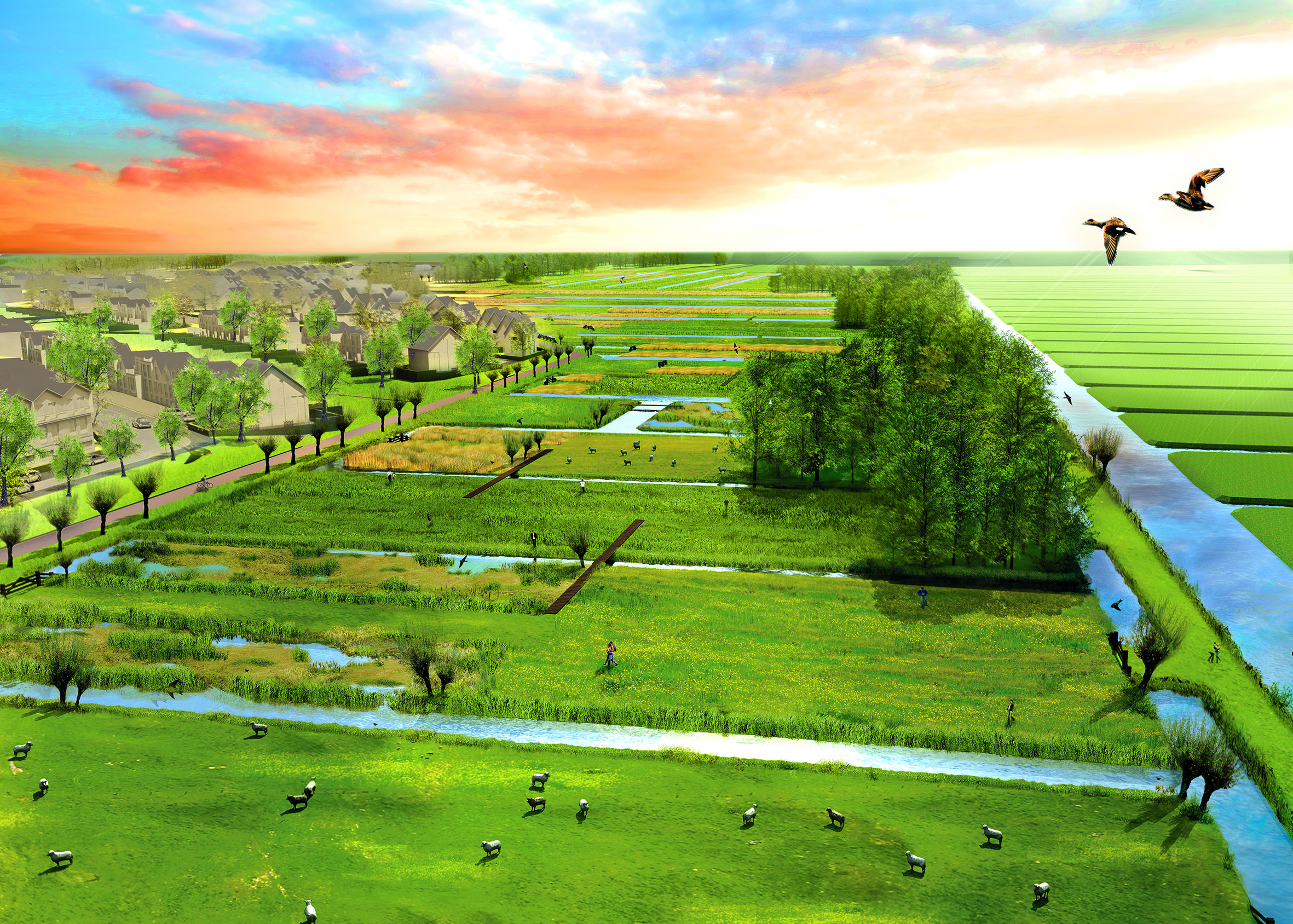 Natuurgebied Westergouwe