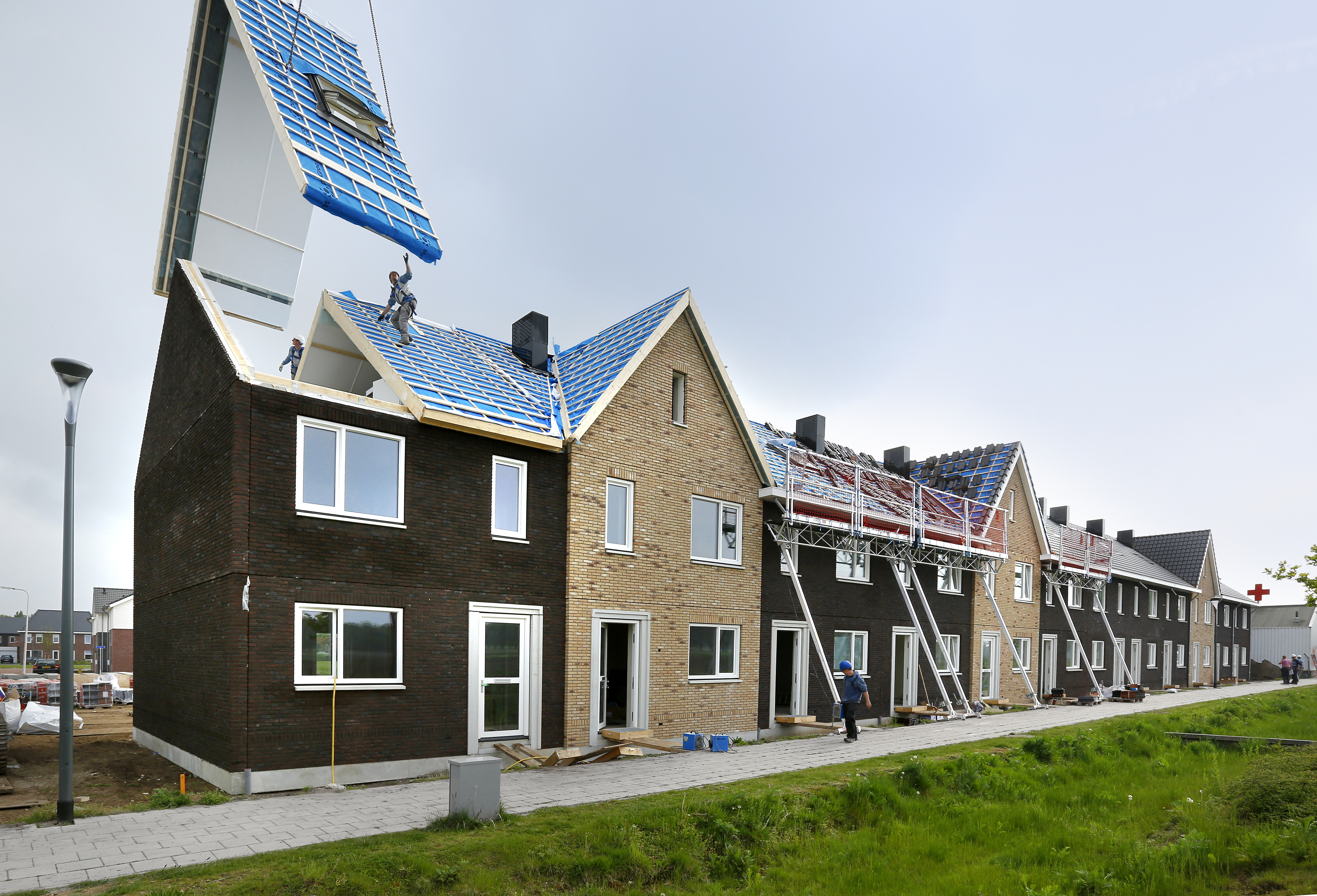 Holten5491-RP.jpg